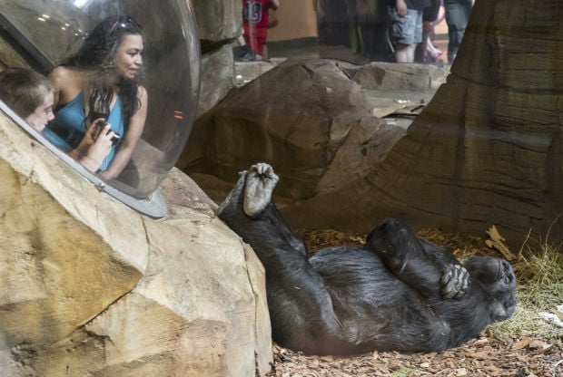 Henry Doorly Zoo